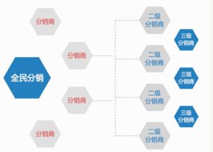 b2b2c分销系统建设助你快速抢占市场